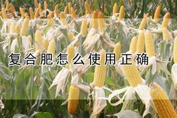 复合肥如何施肥