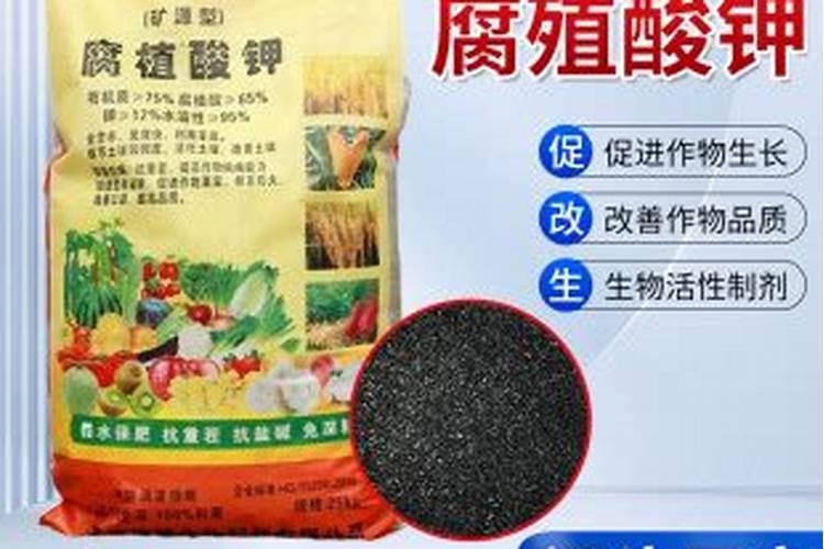 兰花该上什么肥