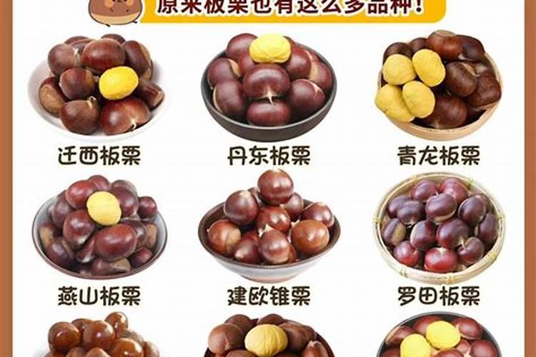 三亚五金市场在哪里