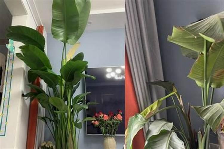 硝酸磷肥的含量及作用