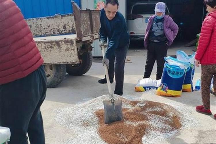 玉米底肥复合肥可以水溶吗