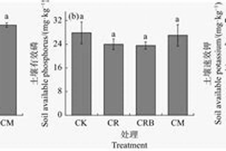 钾肥可以用来种菜吗