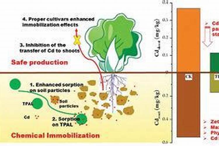 含硫肥料的种类和性质？如何施用？