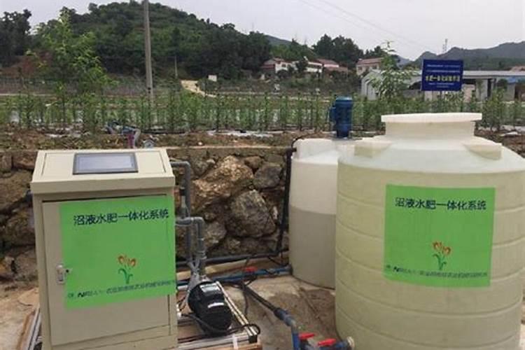 如何用沼液作为叶面肥喷施柑橘？