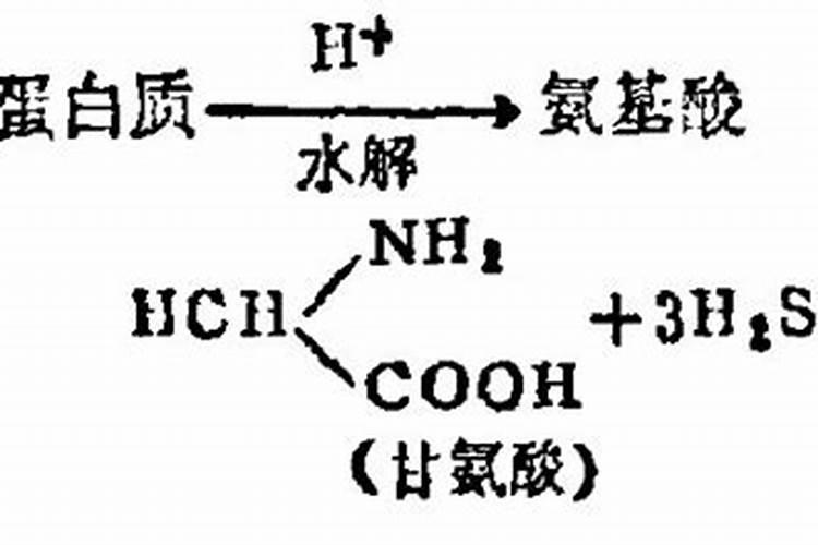 可以促进瓜果生长的肥料是啥呀