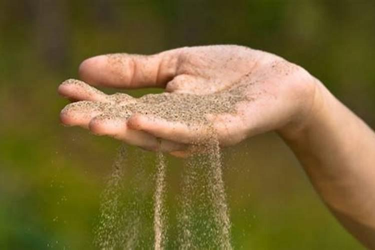 氮肥属于有机肥还是大量元素肥料