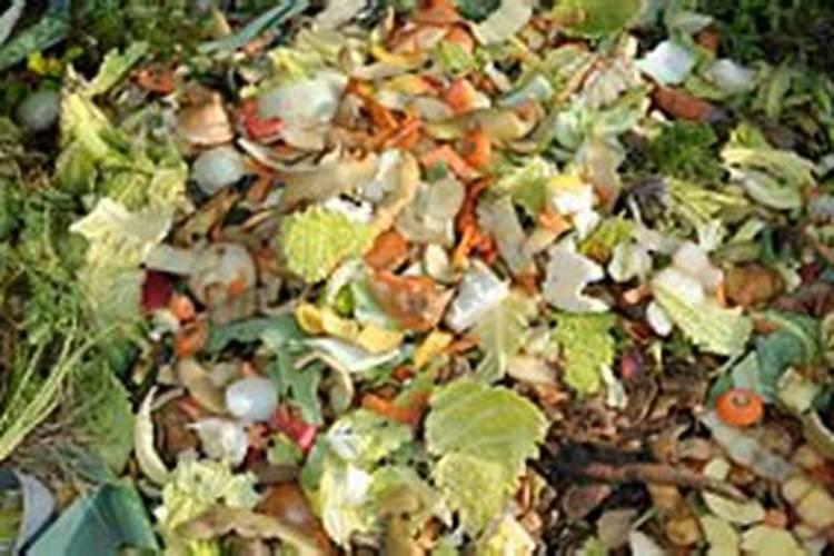 如何使用钾肥？