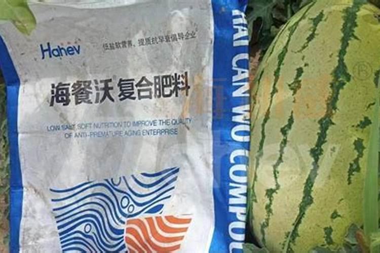 肥料使用不当会烧苗,是如何引起的？如何正确应对？