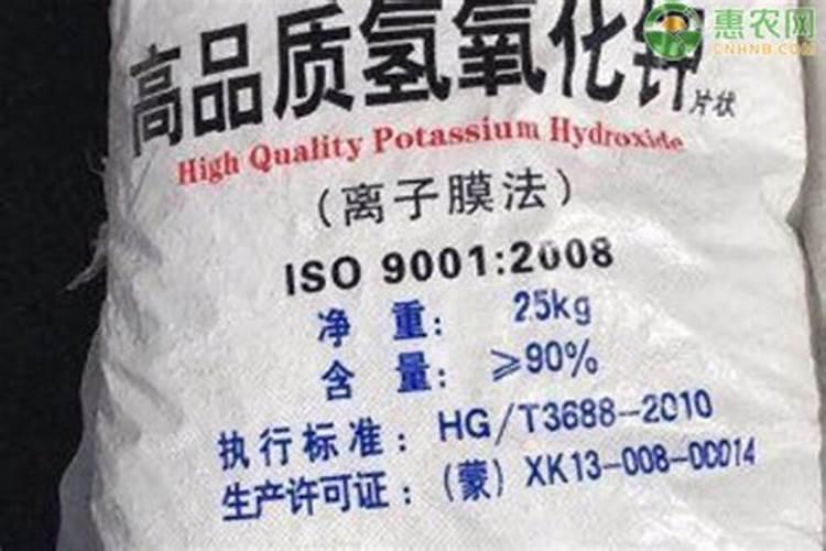 冬枣坐果怎样脱盘快