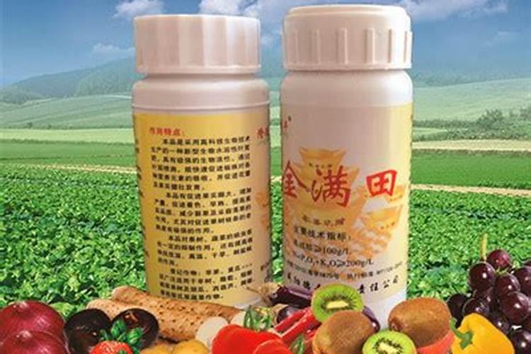 种植番茄在使用钾肥时,都有哪些注意事项？