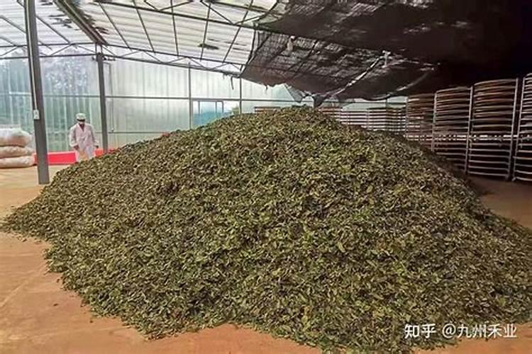 最环保的有机肥品牌