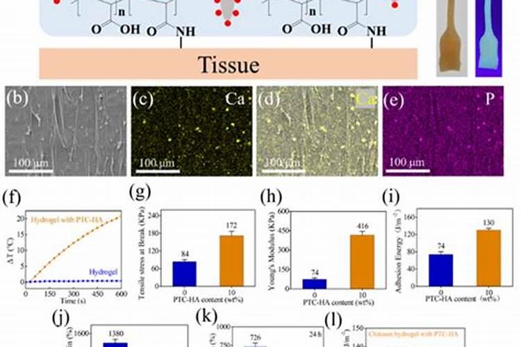 锌腐酸和黄腐酸的区别是什么？