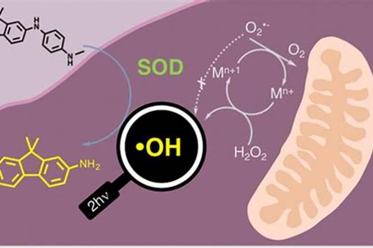 黄腐酸钾,黄腐酸浓缩液在肥料中,水产养殖中的应用