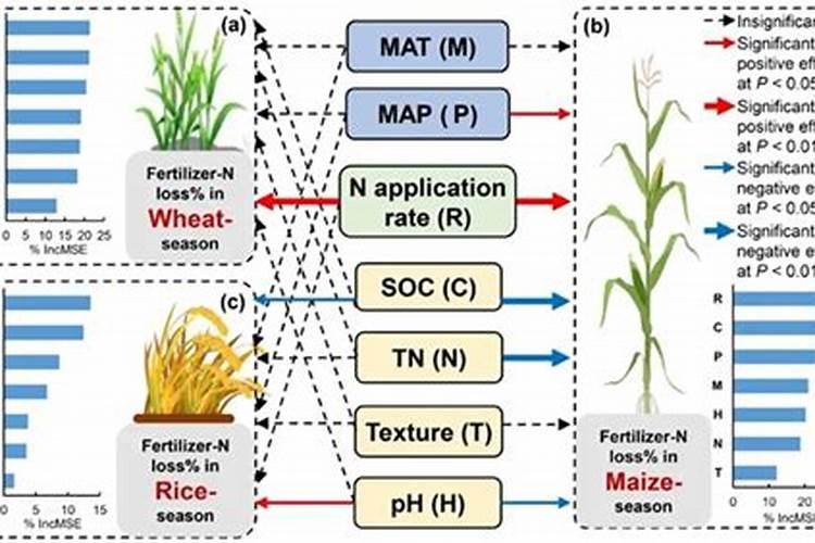 如何提高氮肥利用率 氮肥使用八大技巧