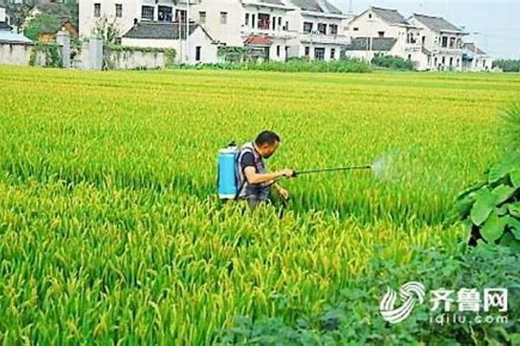 国内氨基酸水溶肥生产厂家有哪些？