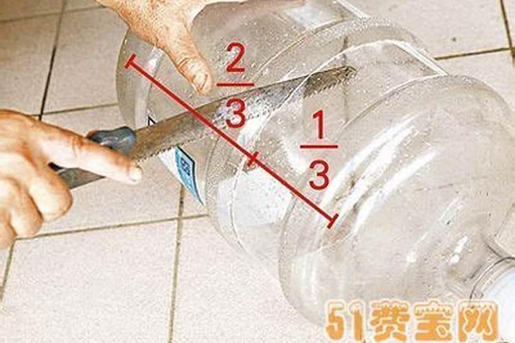 绿萝用什么肥料长得快