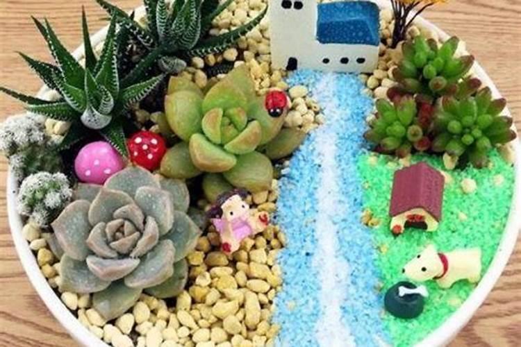 茶花冬天上什么肥