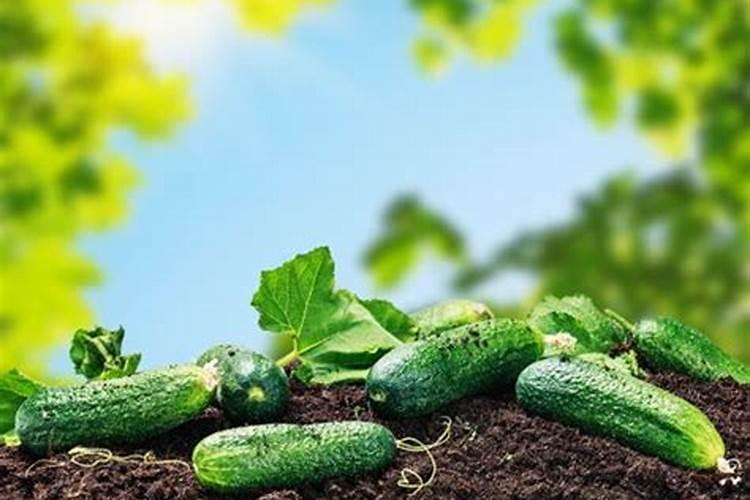 乌海市化工厂有哪些