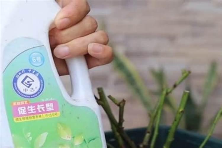 精准营养!大量元素水溶肥的功效