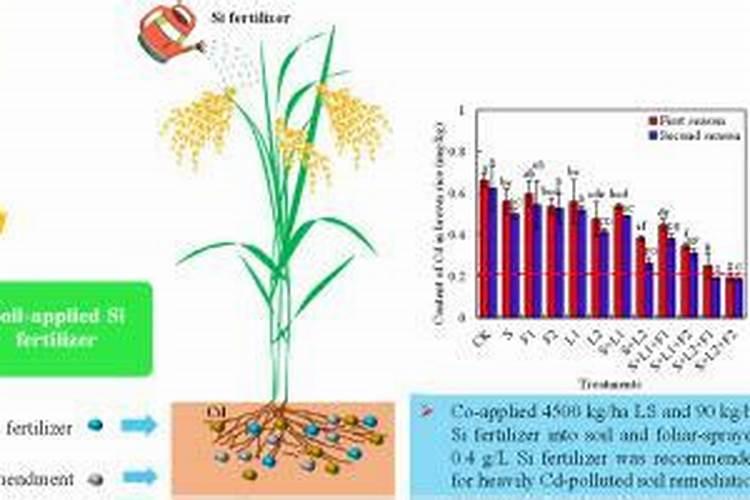水溶肥知名品牌有哪些？