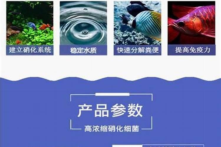 香葱浇什么肥料合适