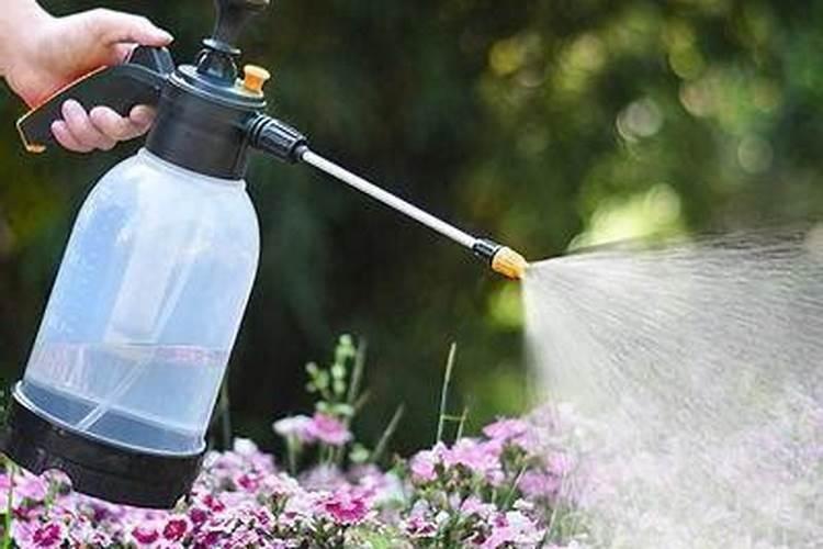 西红柿空果,应该冲什么肥料