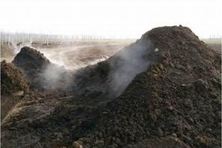 有机肥和无机肥有什么区别？