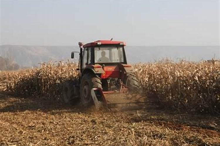 禾本科作物秸秆还田时为什么要配施速效性化学氮肥