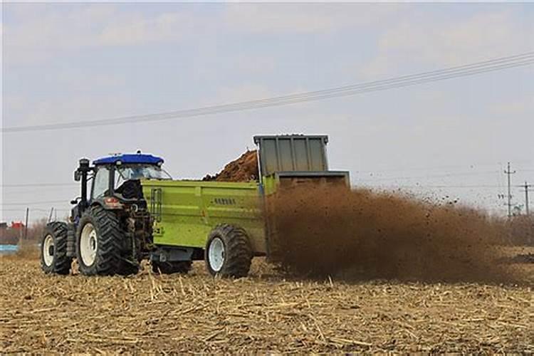 土里放了肥料几天可以种菜 肥料有哪些种类