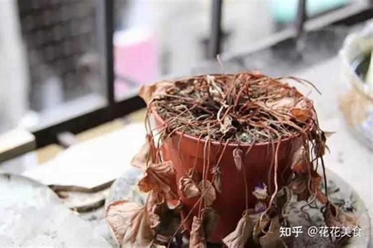 葡萄牙苞冻死喷什么叶面肥催芽快