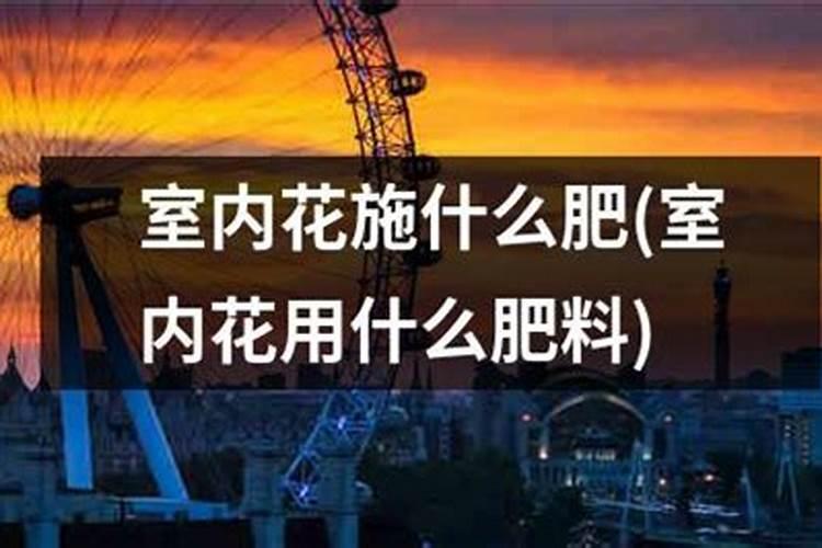 家里种花用什么肥料 家里种花用什么肥料好