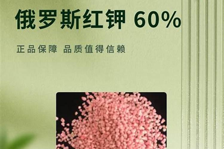 高粱什么时候喷施磷酸二氢钾？