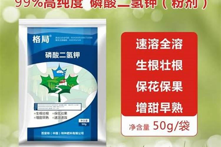 磷酸二氢钾和芸苔素在丝瓜作物上怎么使用