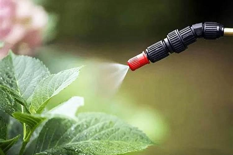 五洲丰复合肥14一22一12是高磷复合肥么？