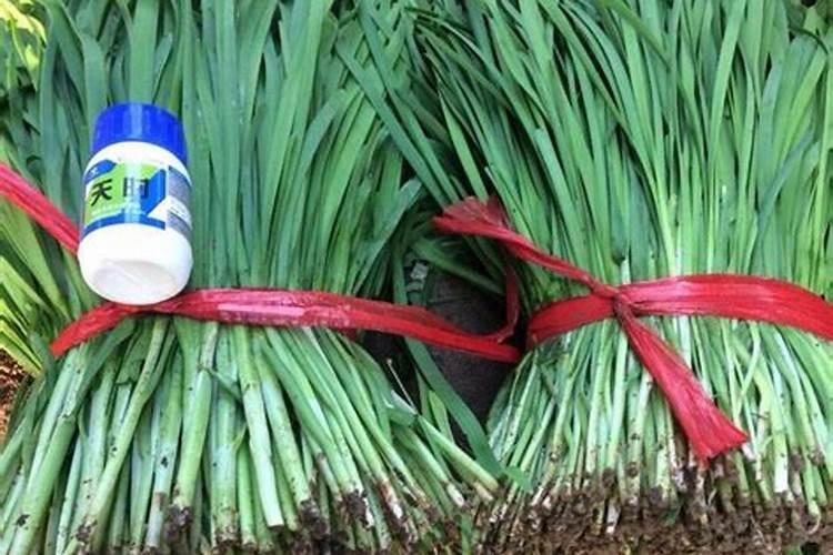 两年桃树用什么肥？施肥技巧