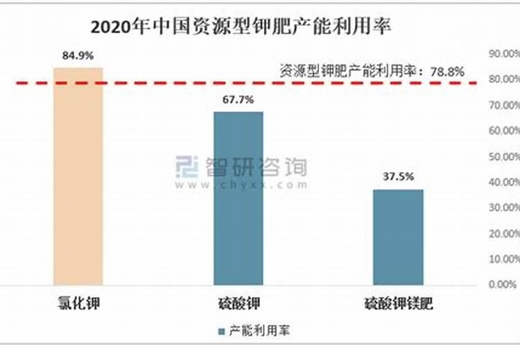 中国钾肥前十名上市公司
