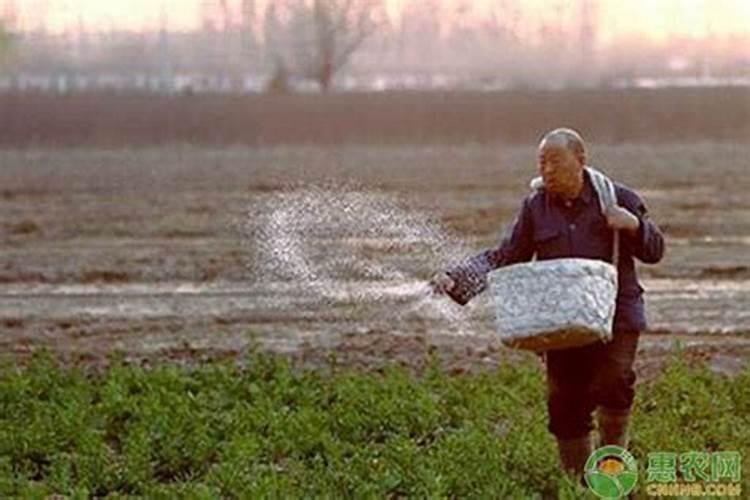 怎样确定水稻的施肥量？