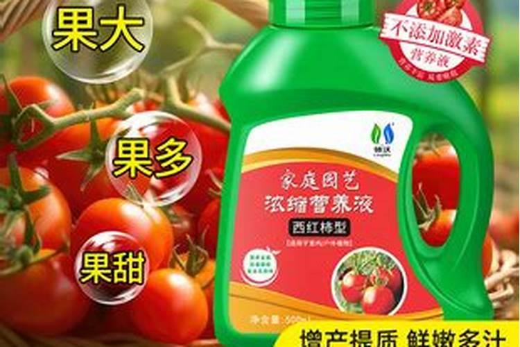 如何正确使用水溶性肥料