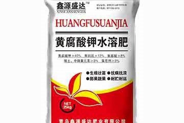 用硼砂清理家里蚂蚁的效果怎么样？