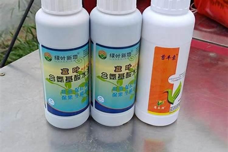 刚种的大蒜要天天浇水吗