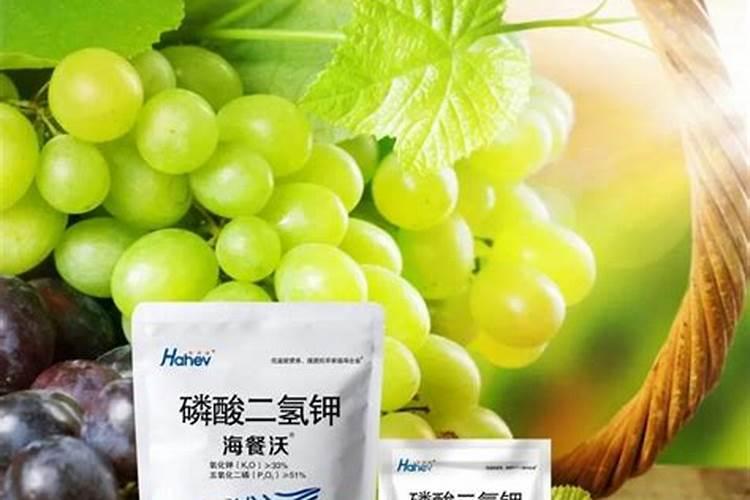 魔芋能不能打磷酸二氢钾