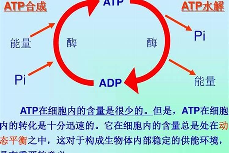 磷肥是什么原料做的