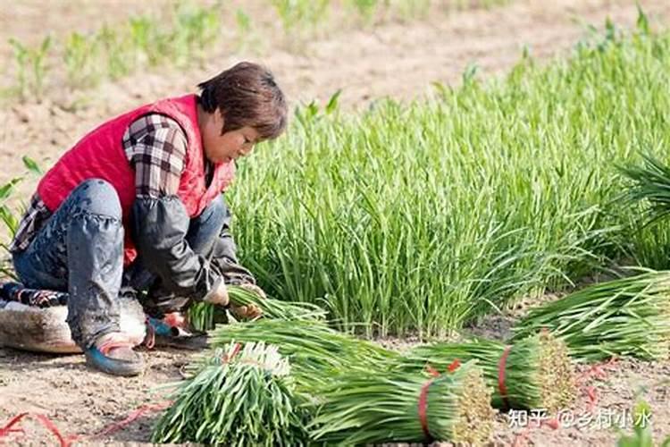 下列肥料不属于复合肥料的是 A。硝酸钾 B.磷酸二氢铵 C。碳酸钾 D...