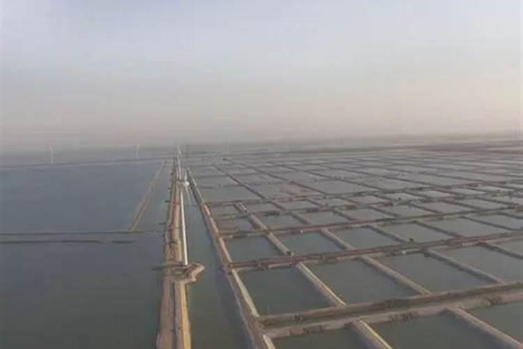 施用硝酸钾需注意哪些问题？