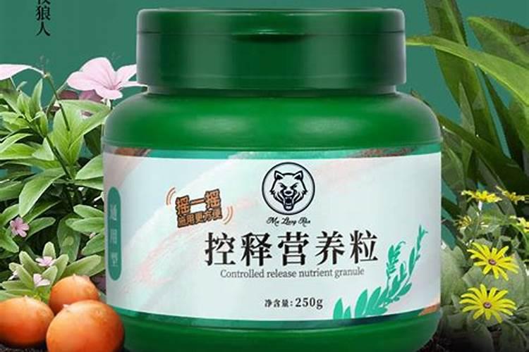 怎么给花补氮肥