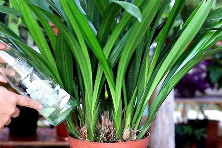 萍乡市乐乐腐植酸厂企业介绍