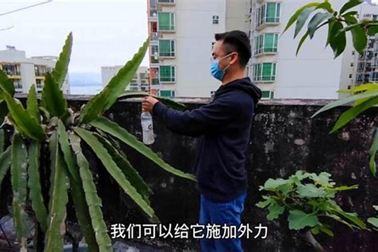 施用氮肥过多对植物有什么影响