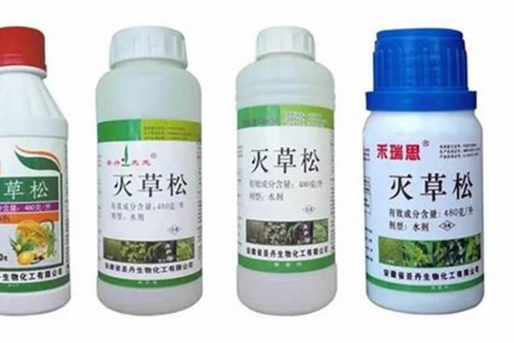 桉树用什么肥料最合适