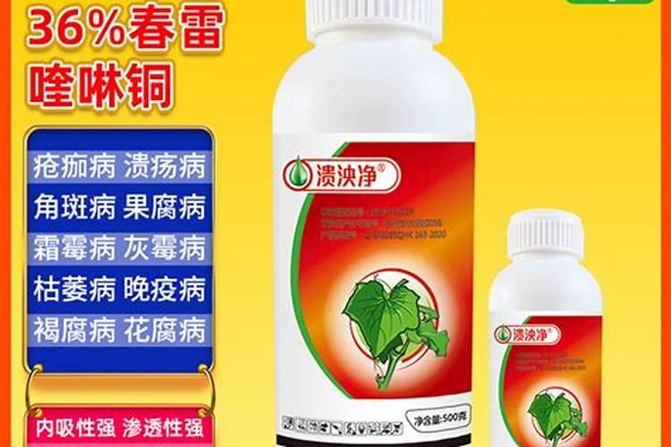 柑橘肥害的症状及解救方法