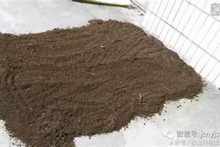 怎样用蚯蚓粪作肥料？
